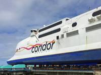 Condor Rapide Bow (Photo:Deep South Media)