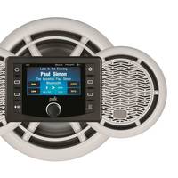 Polk DSP (Photo: ASA Electronics)