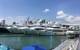 Miami Yacht Show on Watson Island. Photo by Lisa Overing. 